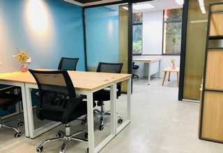 滨江专业灭白蚁服务公司