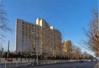 广州食用海参活性肽原液哪里有卖